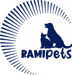 Pomsky - Ramipets