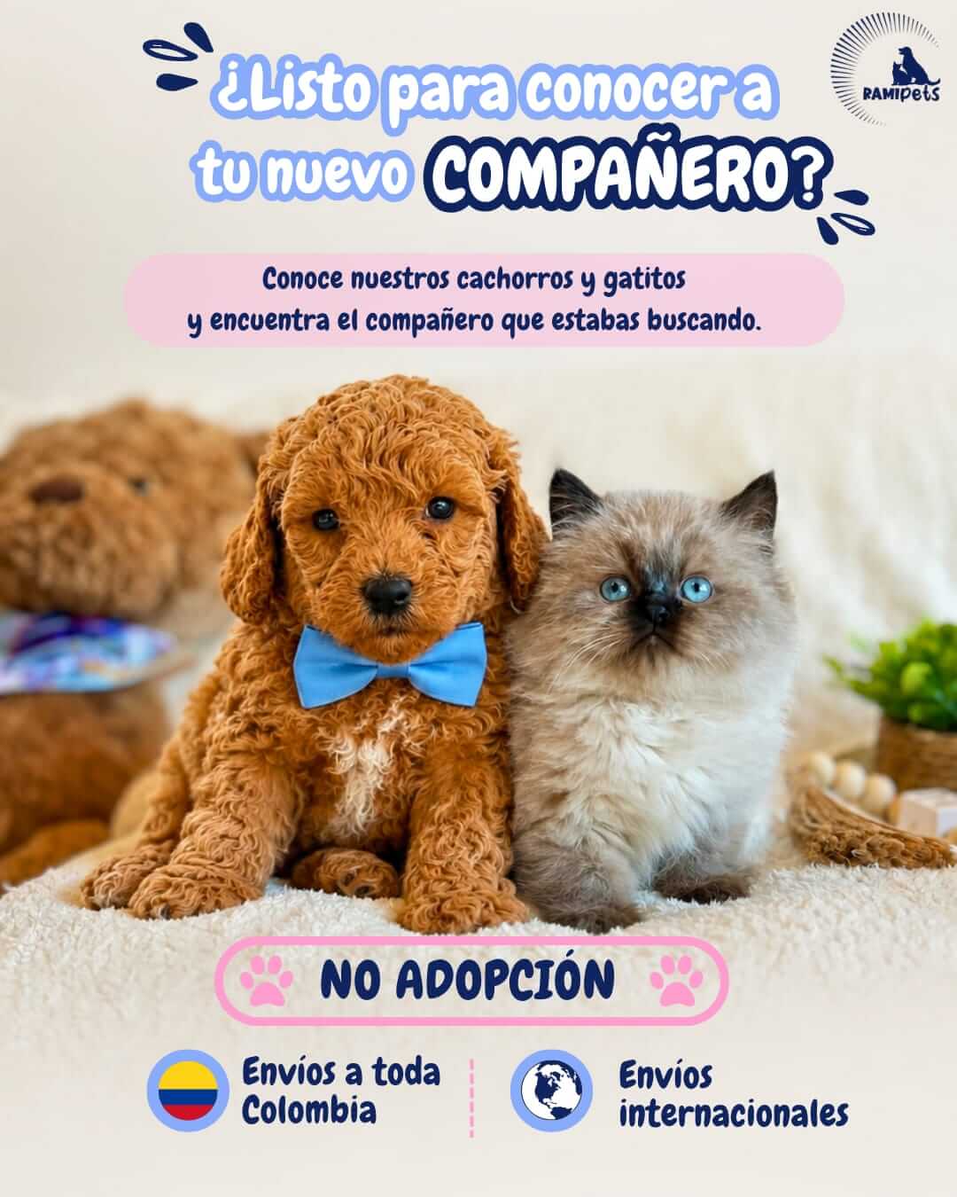 Cachorros y gatitos Ramipets