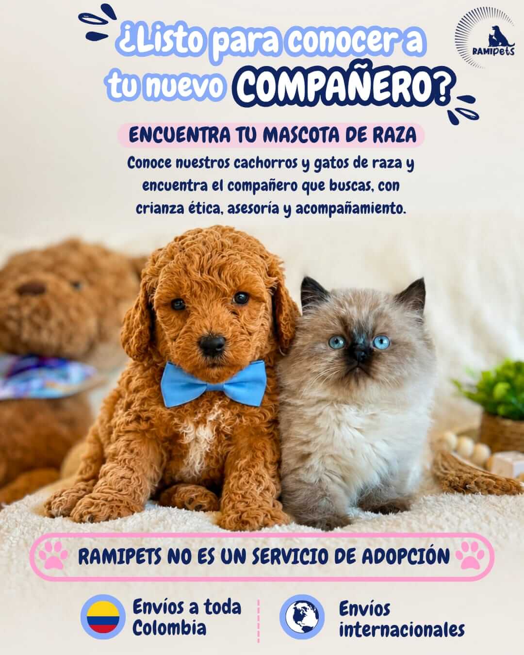 Cachorros y gatitos Ramipets